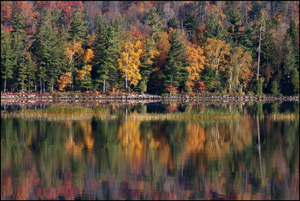 Reflected Autum by Steve Tryon