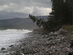 The Tempest by David Perlman