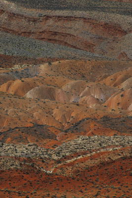 Desert Texture by Karen Schlenker