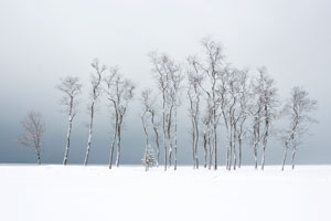 Conversation by John Solberg