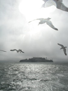 Untitled by Sopia Bui