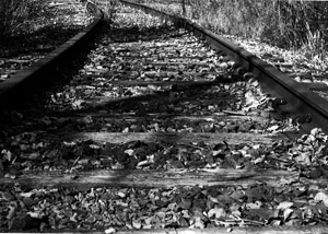 Train to Nowhere by Jennifer Rodrigues