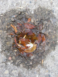 A Life Metaphor by Lilyn Simmons