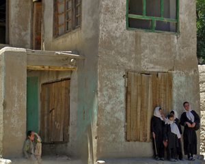 Curious by Brian Calvasina