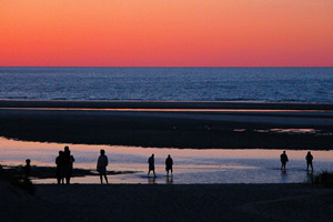 Cape Cod Sand Flats by Martin Nott