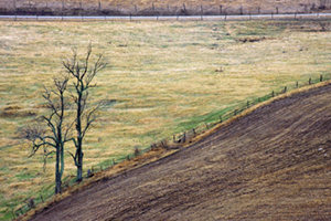 Standing Watch by John Solberg