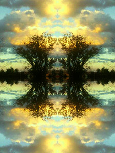 Symmetry by Daniel Crozet