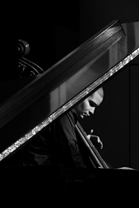 Last Show by Tim Fuss