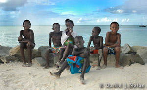 Beach Pals by Daniel J. Nolan