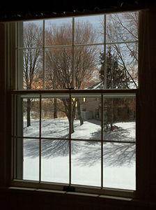 Midnight Moolight Shadows by Carl Crumley