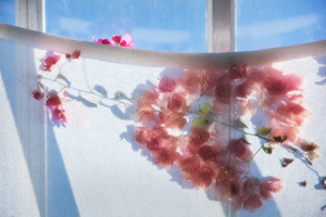 Climbing by Timothy J. Fuss