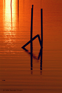 Ripples Shadows #9 by Sheridan Vincent