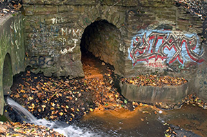 Drainage by Archie Curry