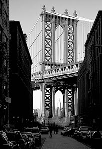 The View from Brooklyn by David Soderlund