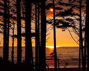 Tranquility by Clyde Comstock