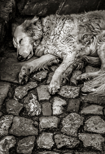 Matera Nights by Steve Levinson