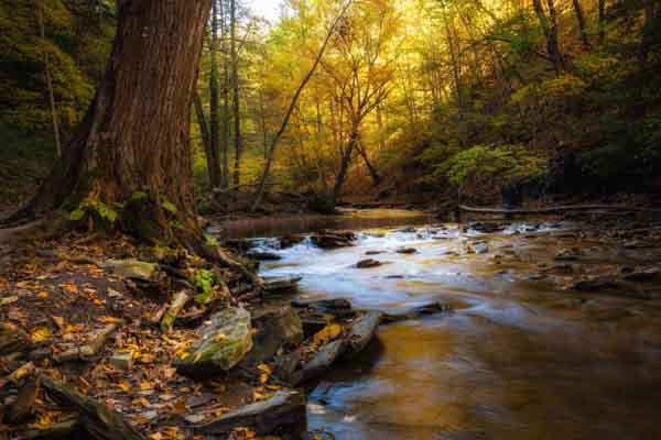 Quiet Glen by Robert Welch