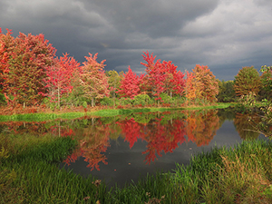Griffis Sculpture Park by Paul Wallach