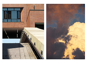 Analogus Disparity by Bruce C. Elling