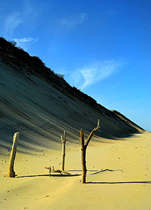 Mirage of Time by d. dargan teska