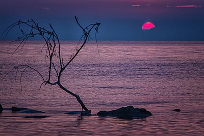 Fading Away by Marie Costanza