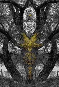 Altered Landscape by Jeno Horvath