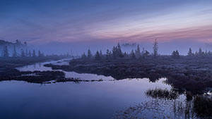 Today Arriving by Ernie Nalette