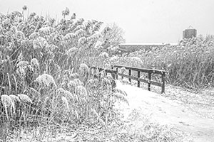 Buckland Winter by Lisa Cook