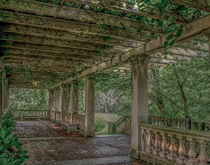 George's Reverie by Regina Muscarella