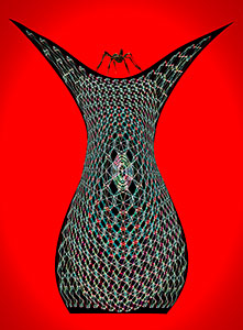Spider Lady's Web by Jerome Kaye