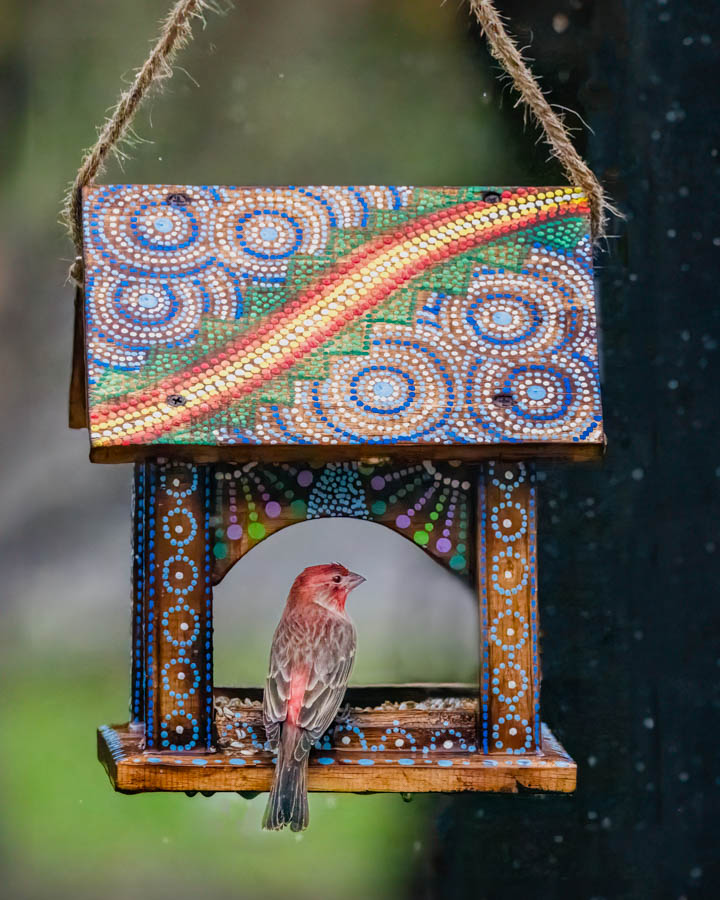 Visitor at the Mosaic Inn by Marie Costanza