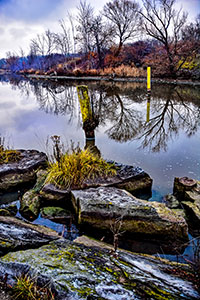 Safe Harbor by Mike Shoemaker