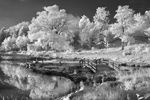 Once Upon a Time by d dargan tesks