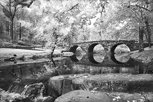 Lost in a Fairy Tale by d dargan teska