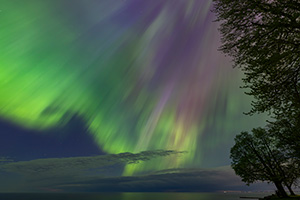 Let the Show Begin by Margy Meath