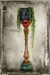 Bead Plant #1 by Don Menges