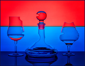 Cocktail Party by David Braitsch