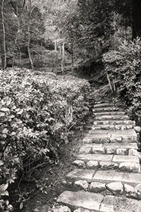 Garden Zen Path by Gil Maker