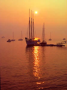 Harbor Mist by Bob Clemens