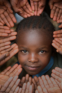 Palm Circle by Flinn Hackett