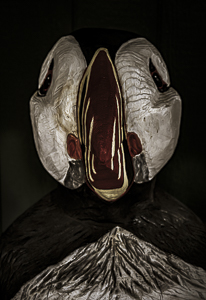 Timbird   Marine Minigolf of Maine by Steve Levinson