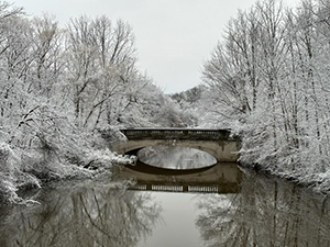 Bridge to Winter by Skip Beaver