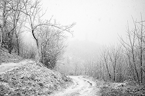 Untitled 1 by Bruno Chalifour