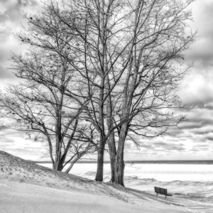 Winter Solitude by Marie Costanza