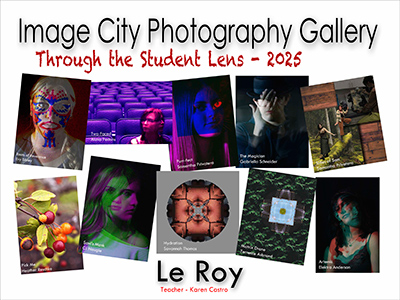 Le Roy High School Award