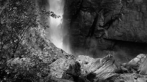 Eco Chantales by Paul Shew