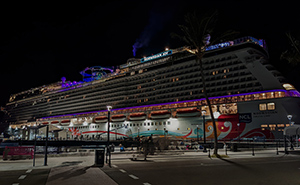 Violet Nightshade Aboard by Deanna Davis