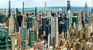 Excess by David Bleich