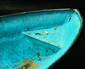 Gently Down the Stream by d dargan teska