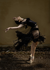 Rhaposody in Motion by Steve Dent